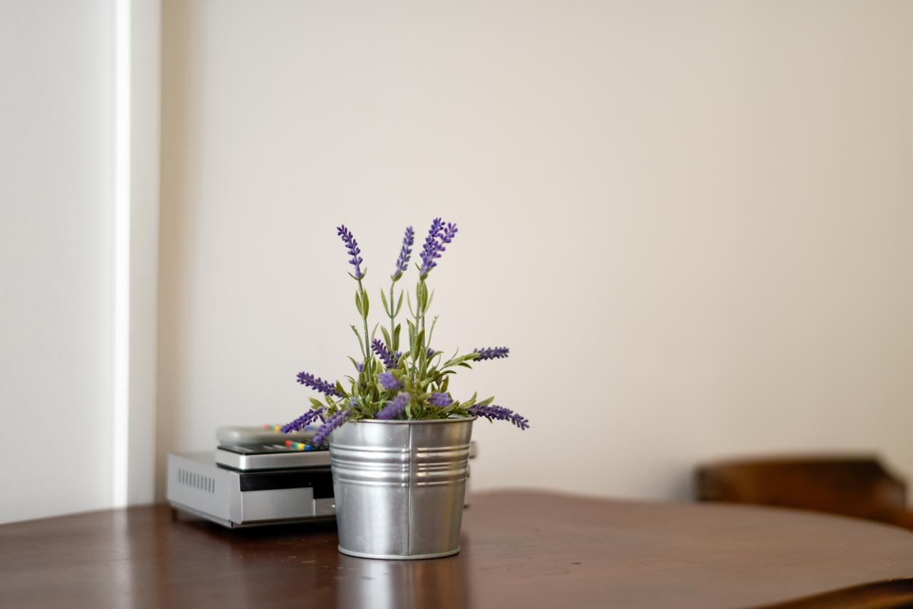 Gina Apartma